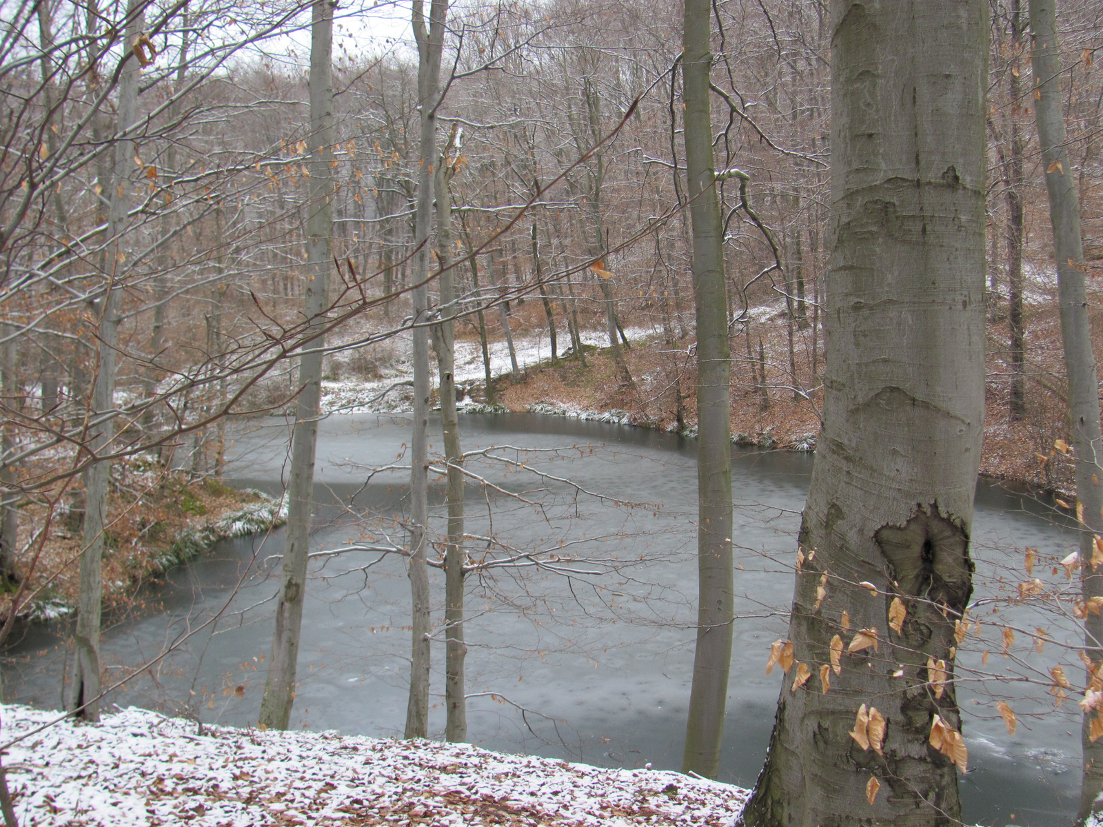 2011.01.22.HHetény-Somogy nyílttúra 019