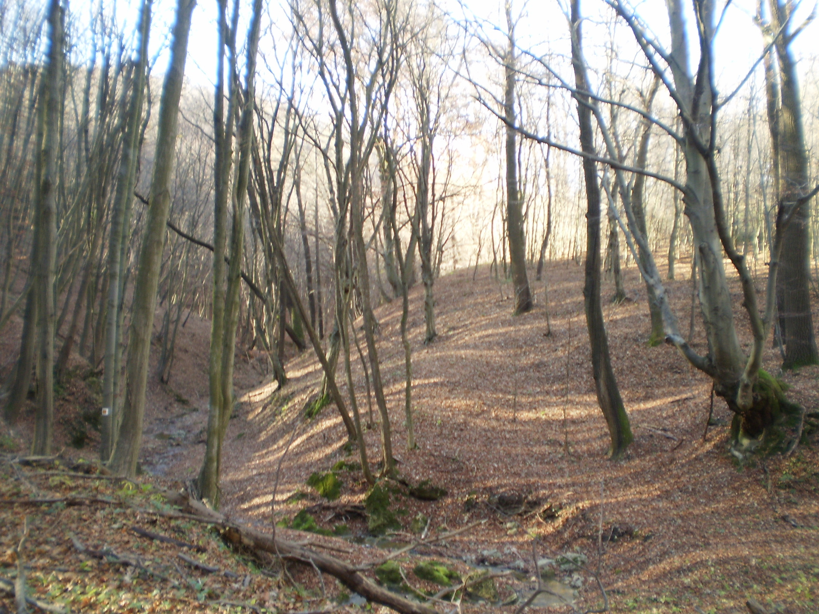 20101113 Orfűi Nagy kő oldal