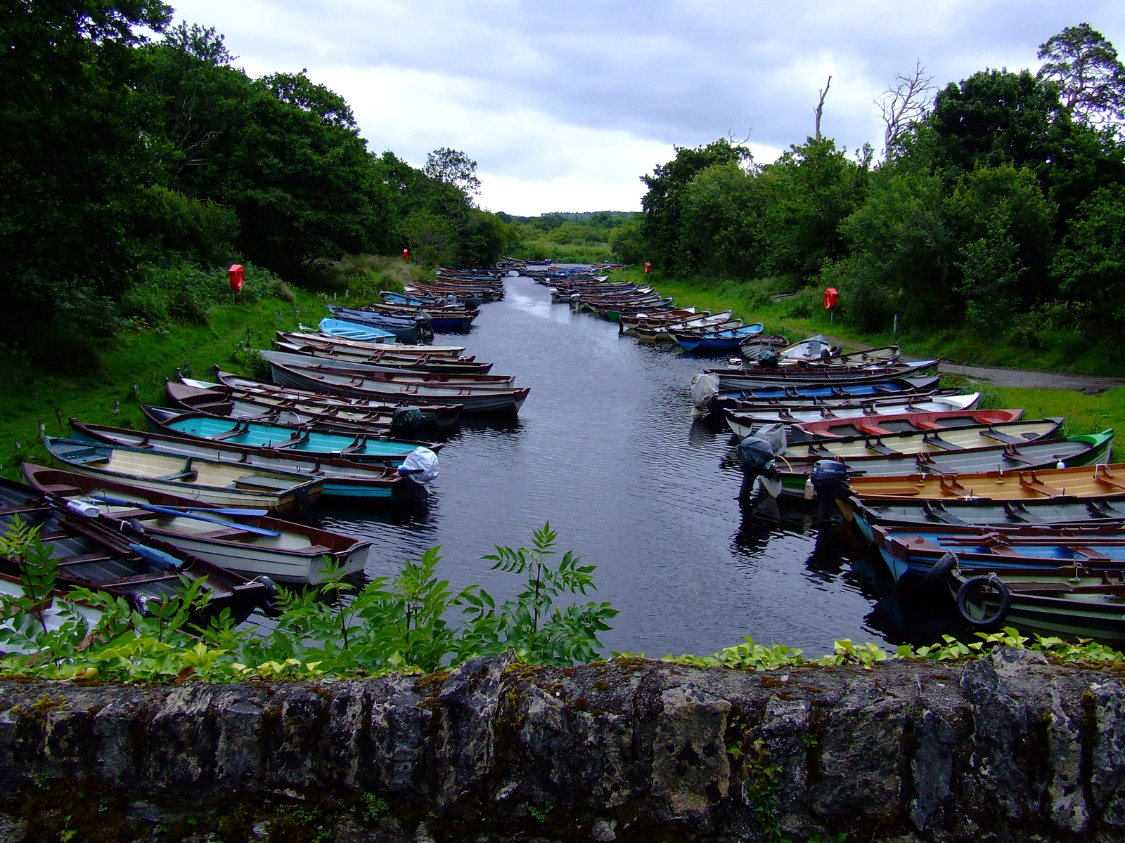 Muckross