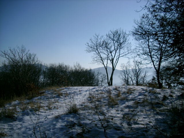 2009 Jan. Gyönyörű a tél