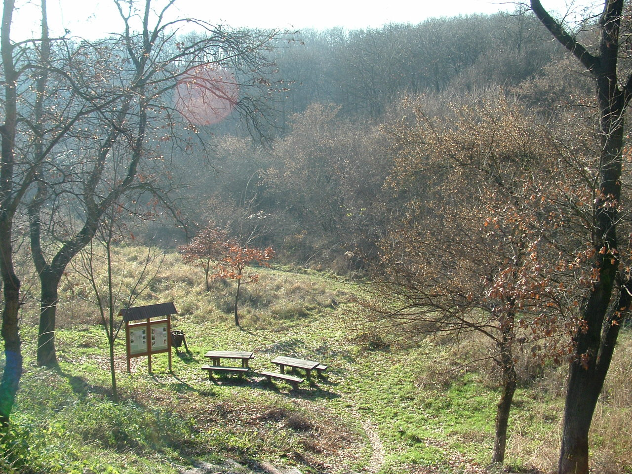 Felsőtárkány 2010 018