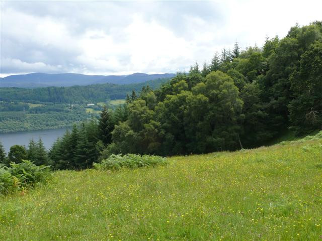 Invermoriston - Drumnadrochit