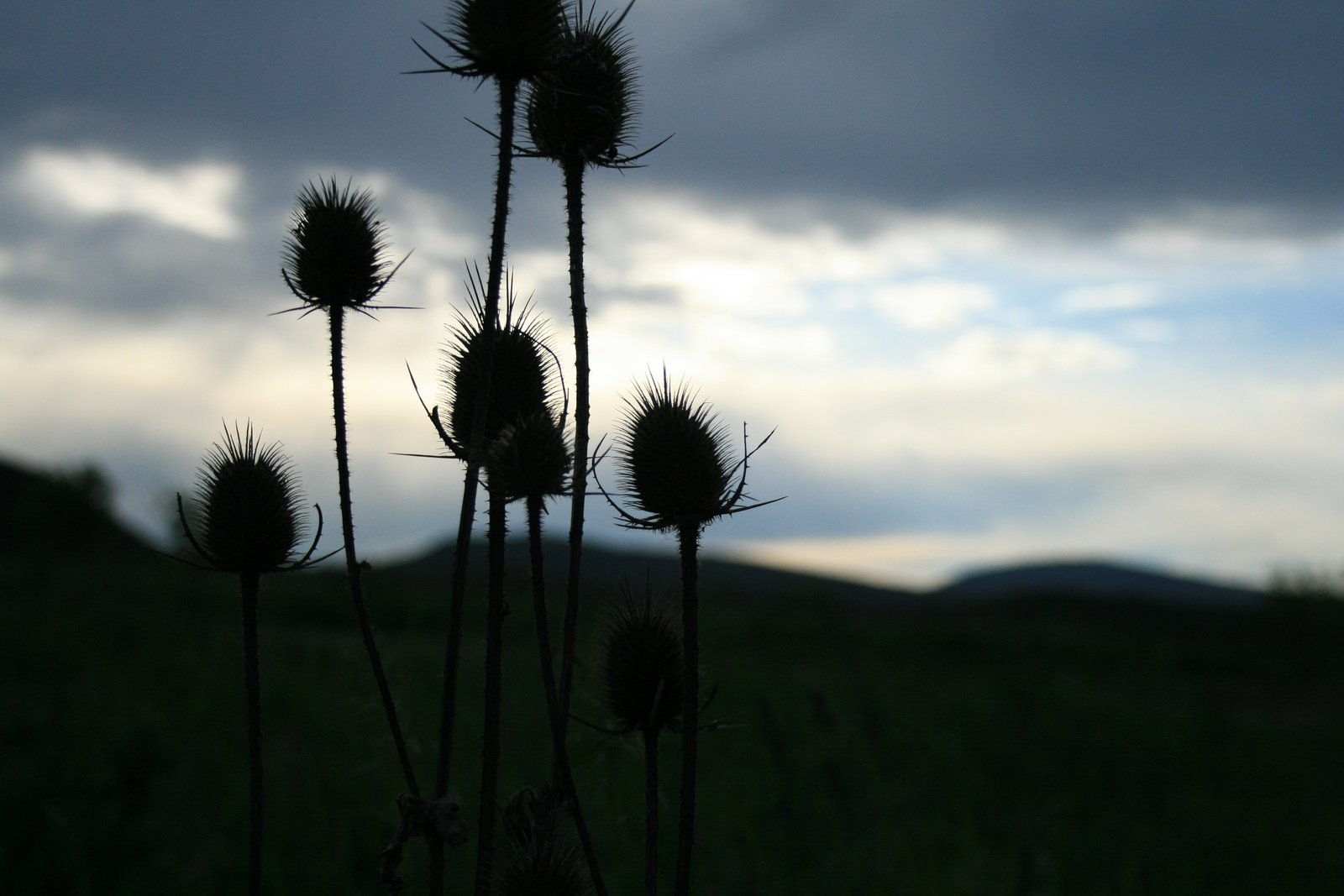 Ich war draußen auf dem Feld (=kint voltam a szántóföldön)