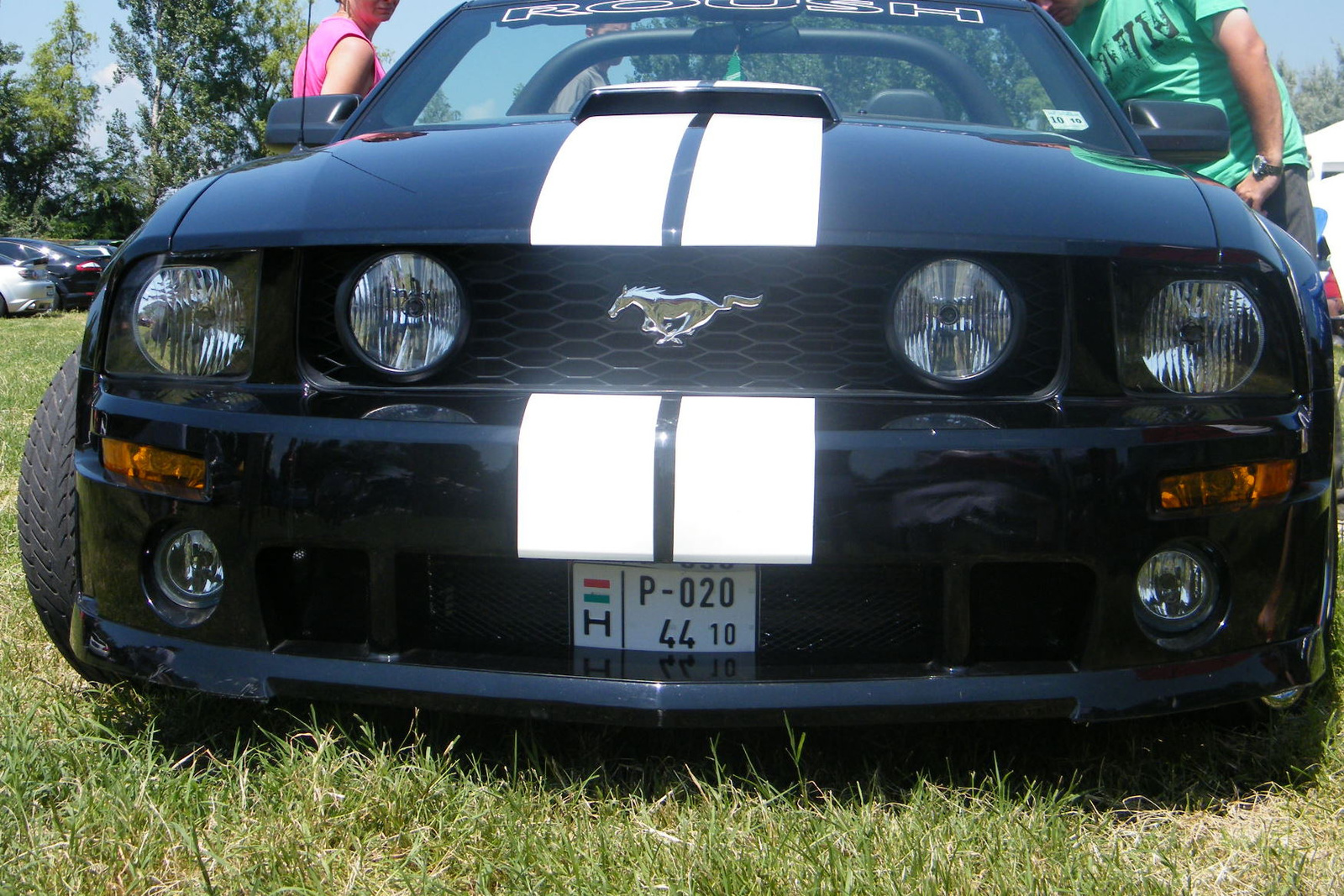 Mustang