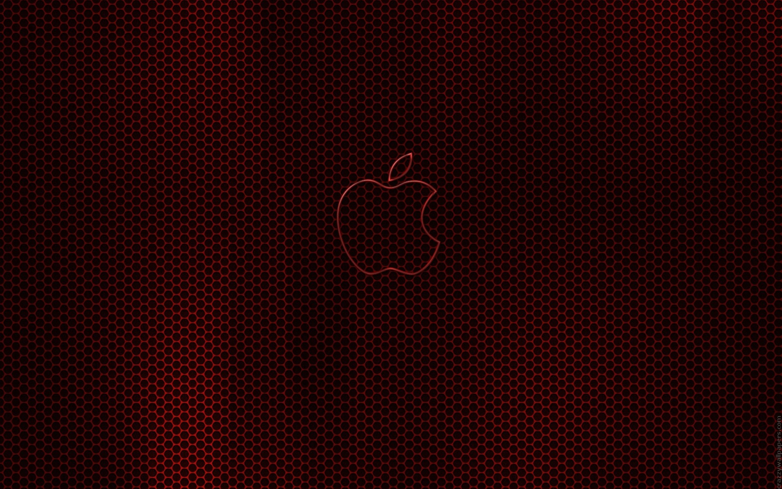 apple 22-1920x1200