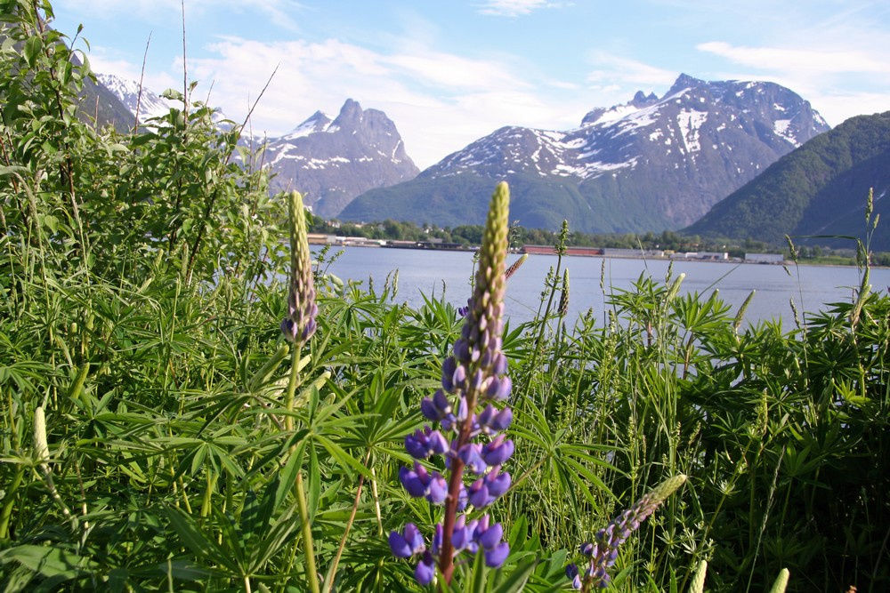 Langfjorden