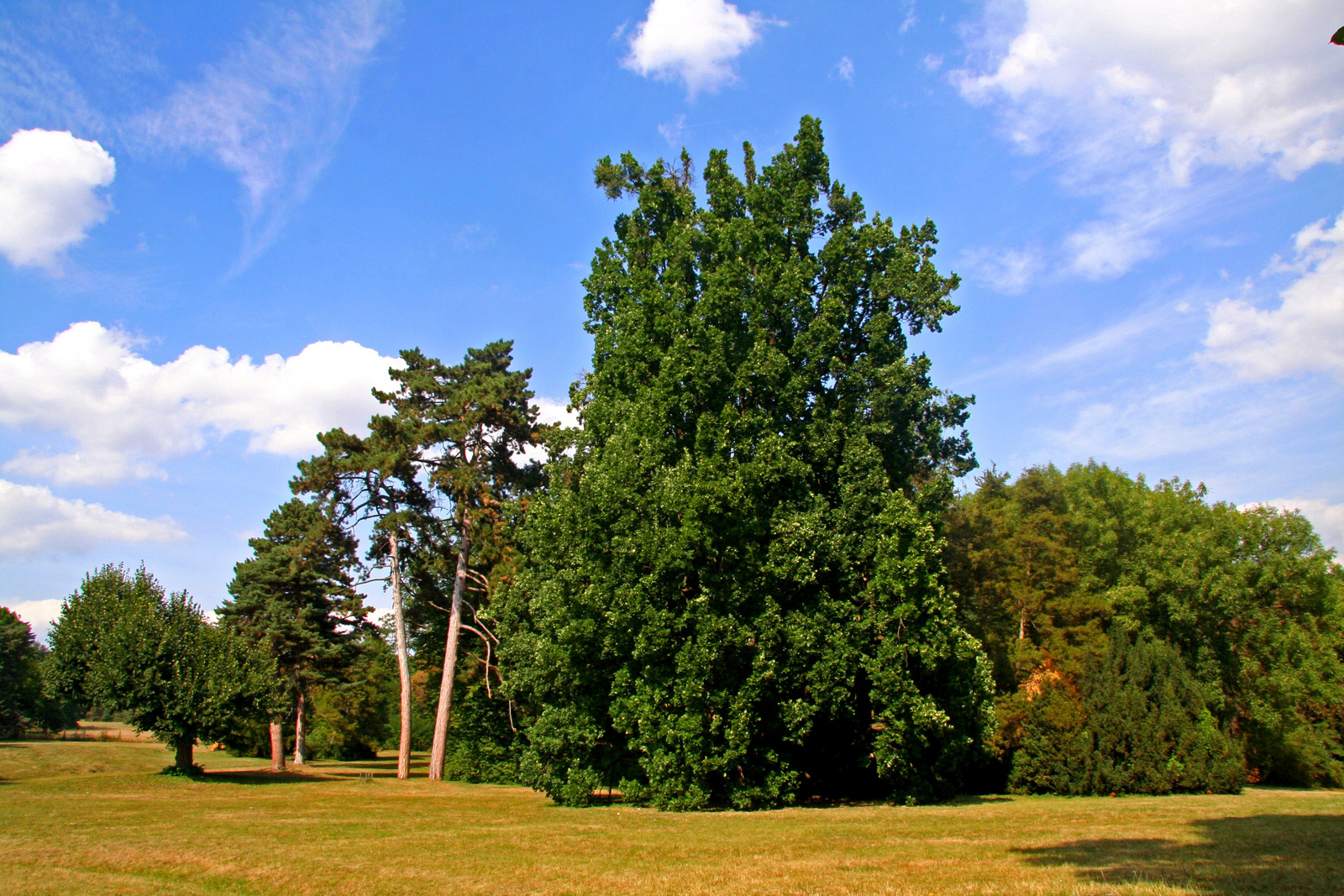 Kastélypark