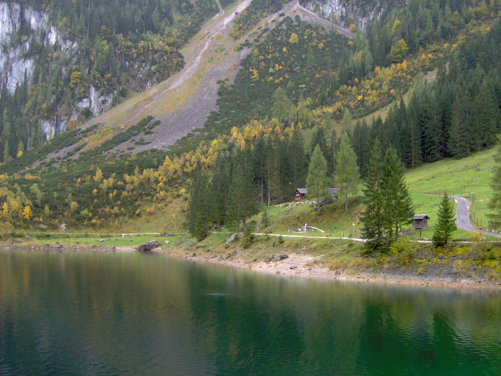 Traun-tó fenyőfákkal