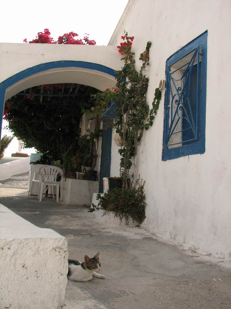 Santorini Kepek 014