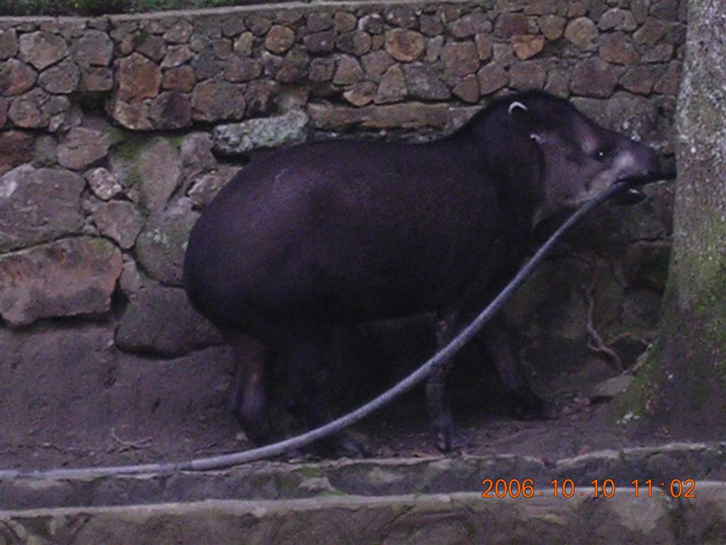 103 Mérida - Parque Zoológico Chorros de Milla