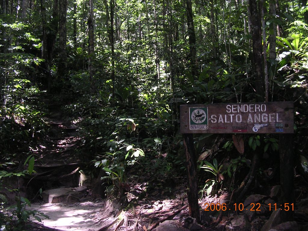 355 Angel Falls felé