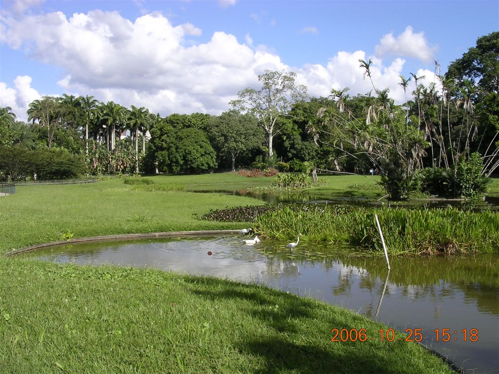 414 Caracas - Parque del Este