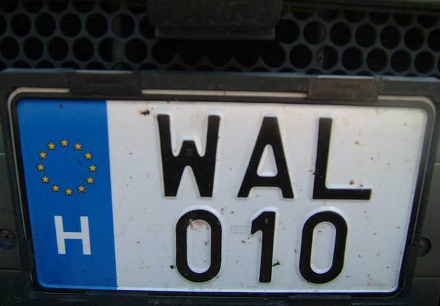 gp wal-010 mb ml plate