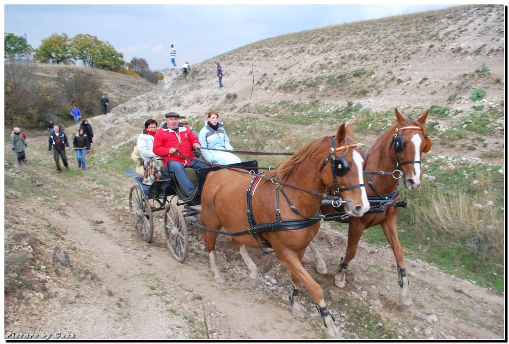 vadaszlovigaca201000194