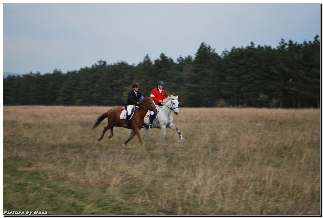 vadaszlovigaca201000198