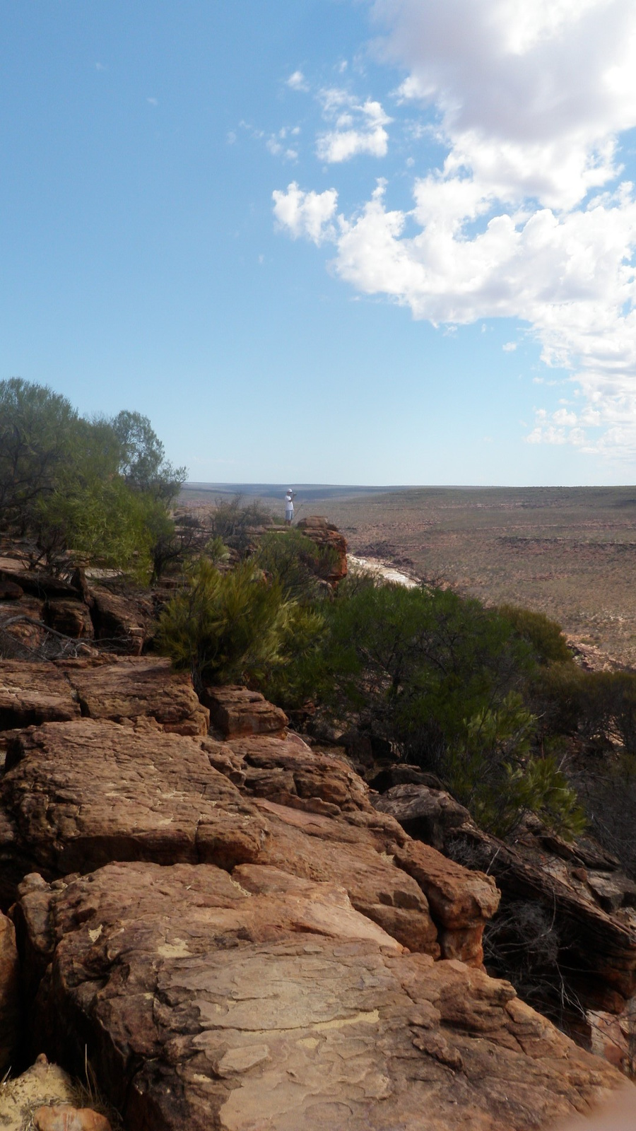 24.march.2010-Kalbarri national park (39)