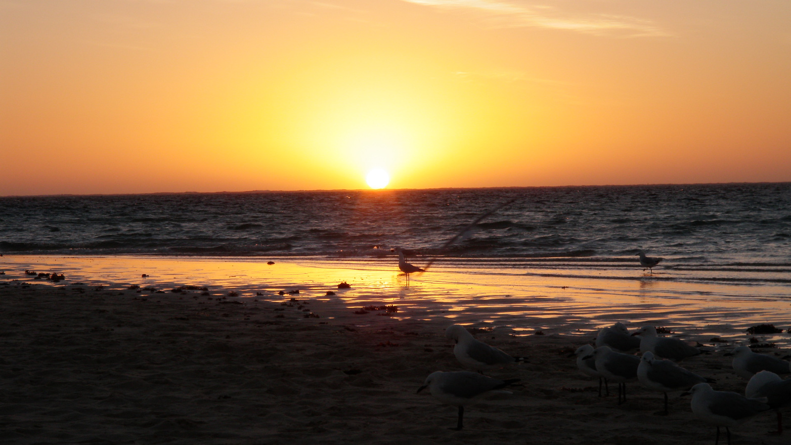 28.march.2010-Coral Bay (114)