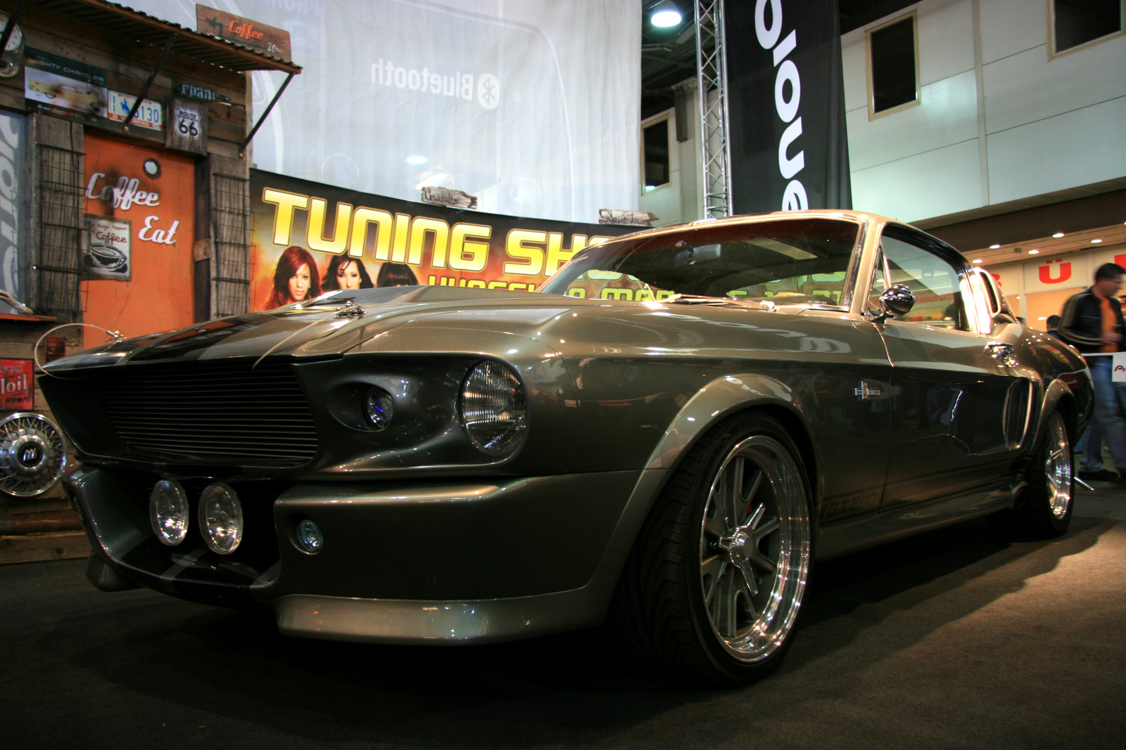 Elenor - Shelby GT 500