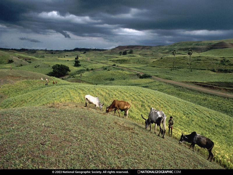 madhya-pradesh-hills-447301-sw (Medium)