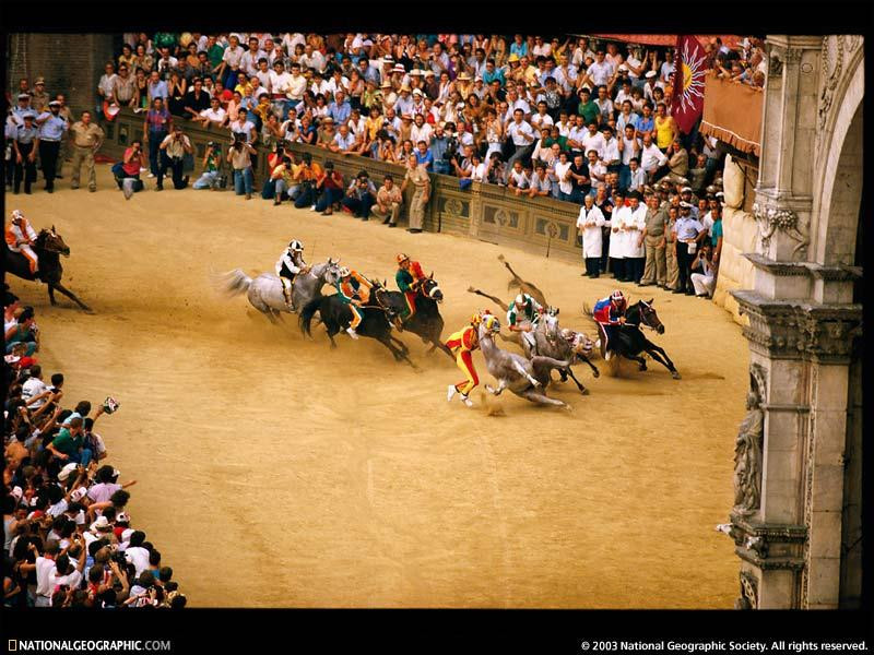 palio-horse-race-451102-sw (Medium)