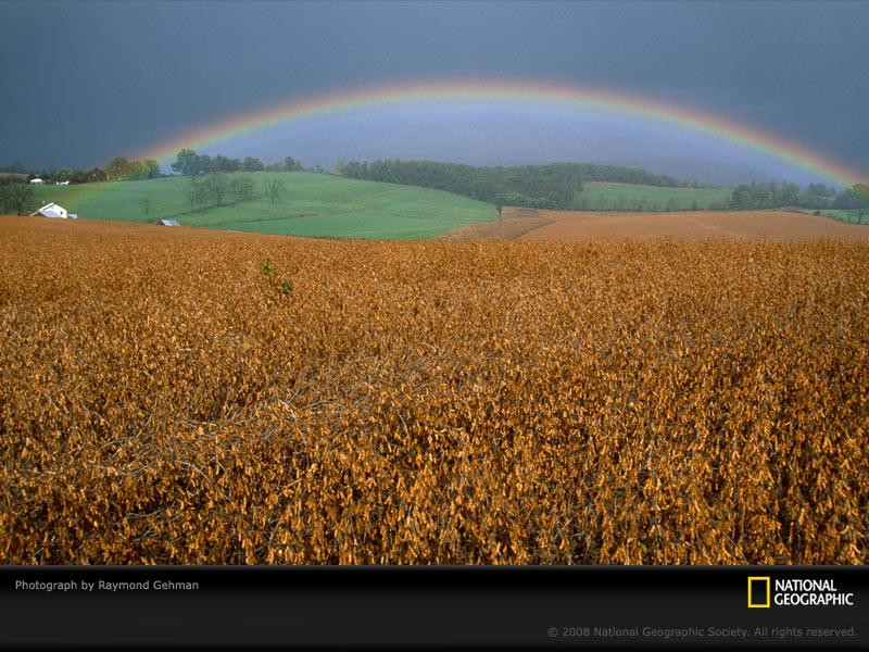 rainbow-field-gehman-980384-sw (Medium)