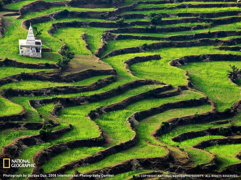 terraced-earth-india-072209-sw (Medium)