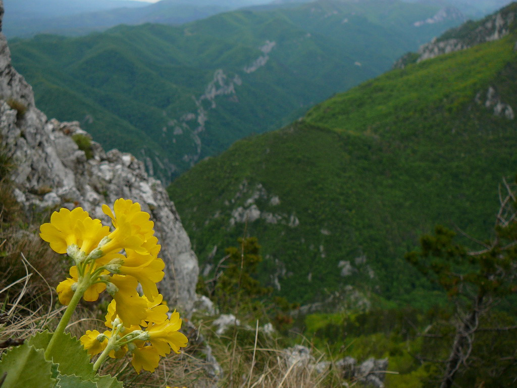 Erdely Herkulesfurdo tajkep 078