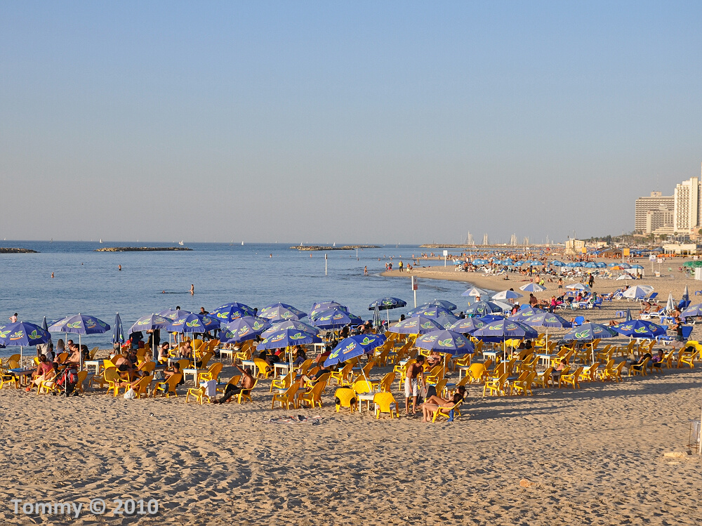 Tel Aviv  December 3