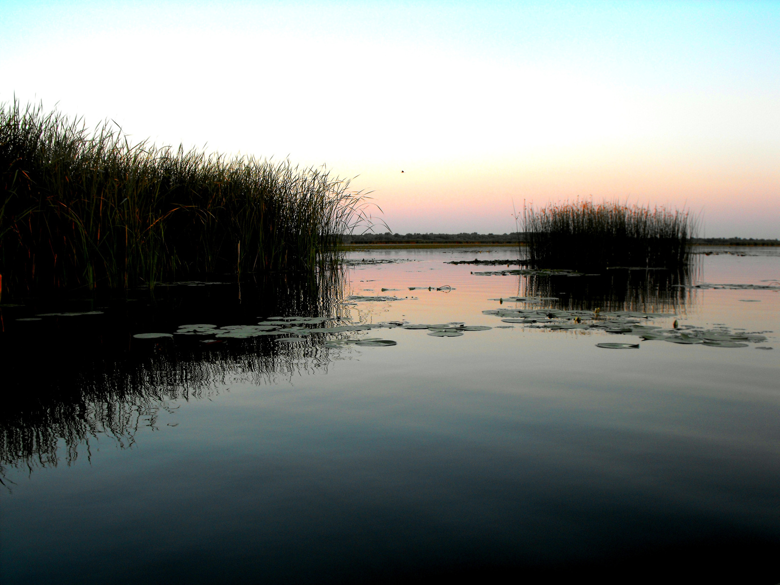 Tisza-tó.2009.Naplemente.