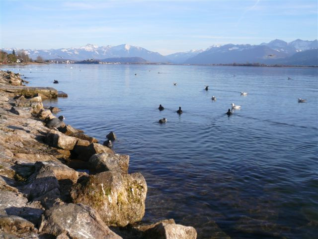 Rapperswil