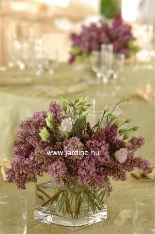 jardine lila orgona uvegvazaban asztaldekor