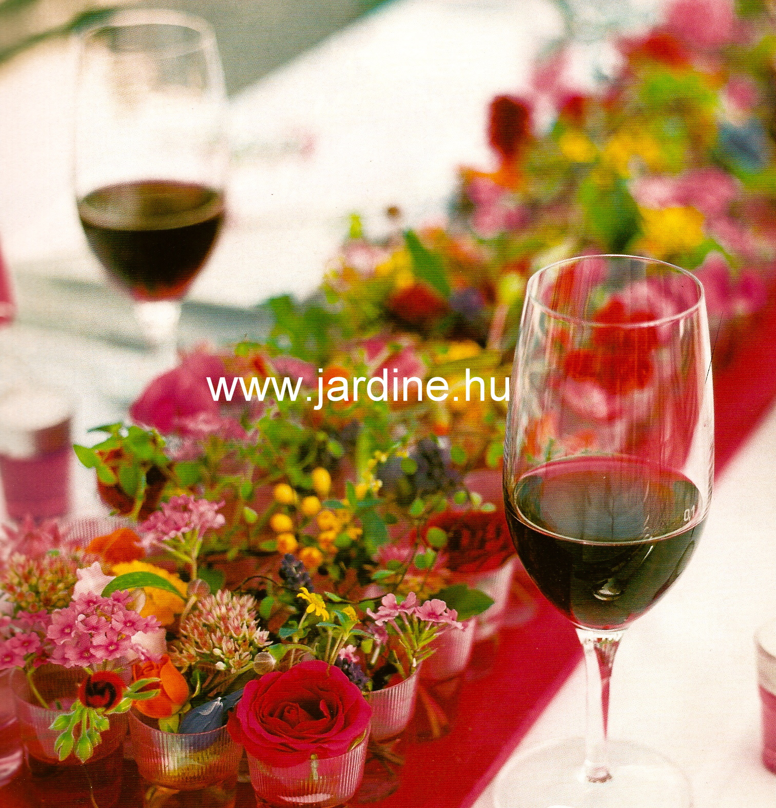 jardine voros hangulat