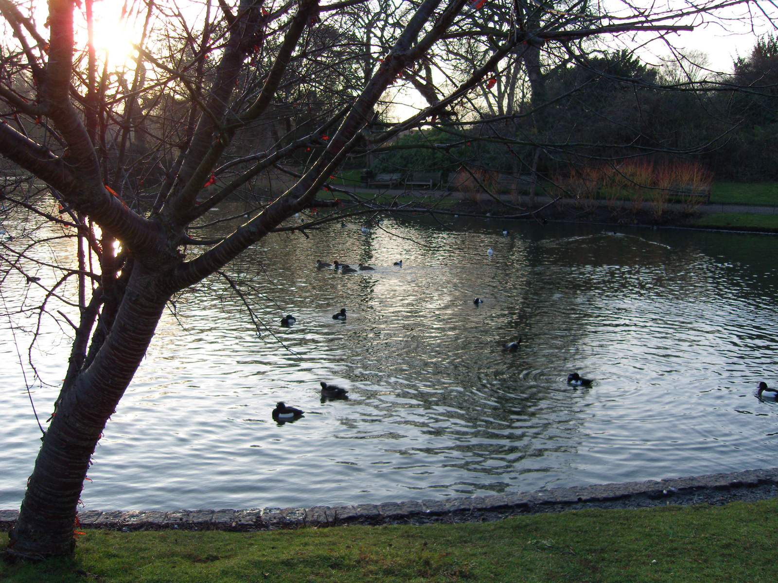 Regent's Park