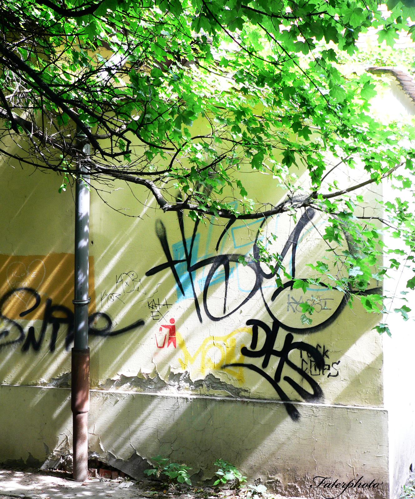 graffiti o-buda