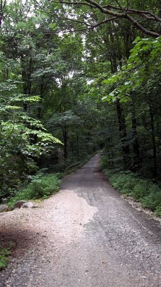 Szlovákia 2011 311