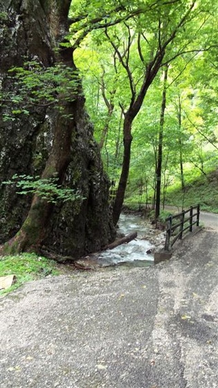 Szlovákia 2011 320