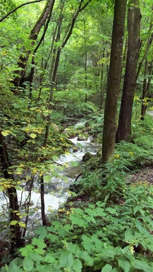 Szlovákia 2011 322