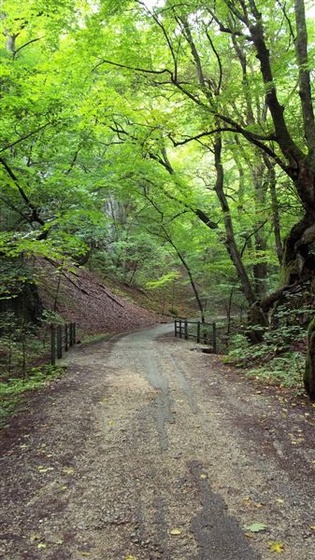 Szlovákia 2011 330