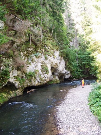 2009 Szlovákia 1912