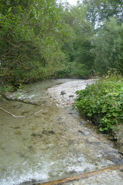 Szlovákia 2010 063