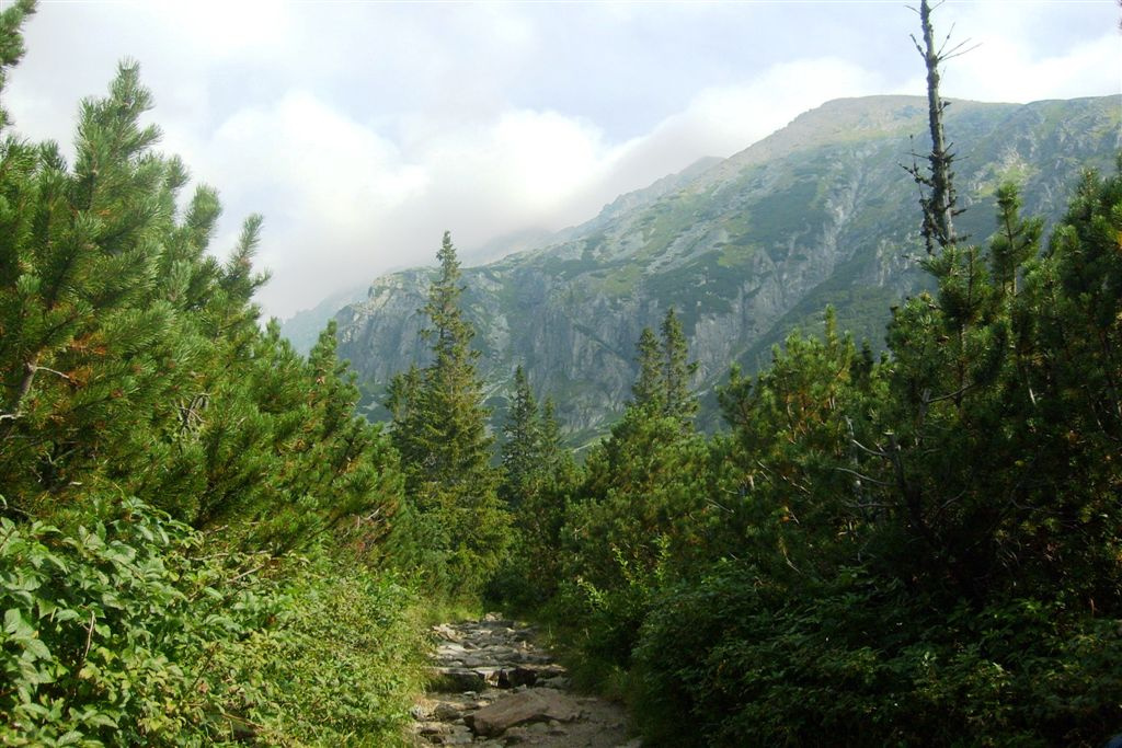 Szlovákia 2010 245