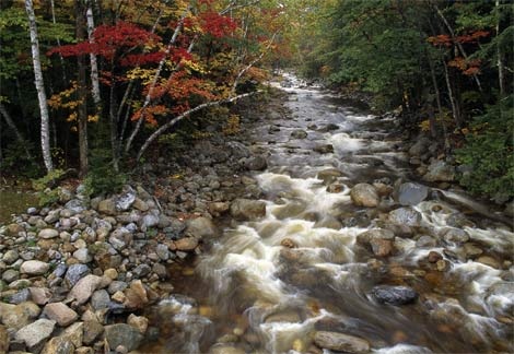 white-mountain-stream-89391-ga