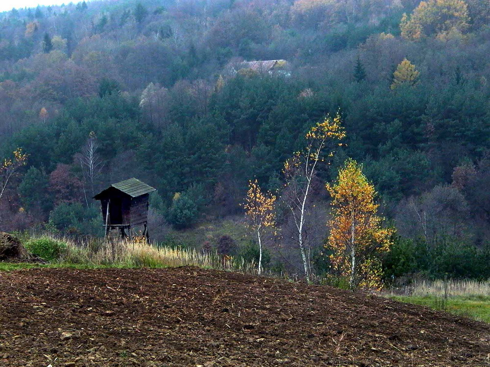 Őrségi vallomások