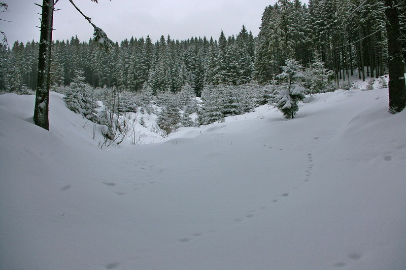 Hargitafürdő, Csíkszereda, Korond 2010. 02. 12-14. LHM turné