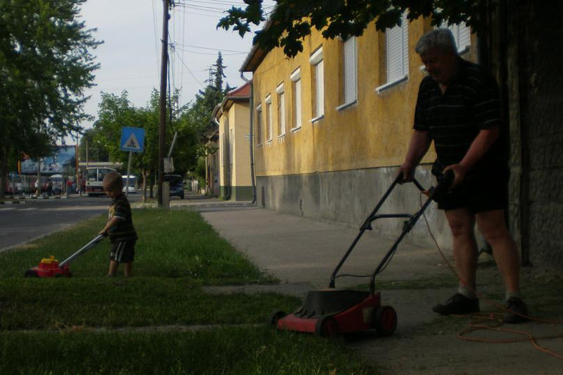 Fűnyírás a papával