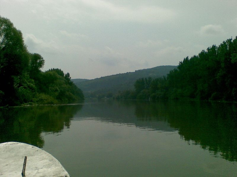 Tisza008