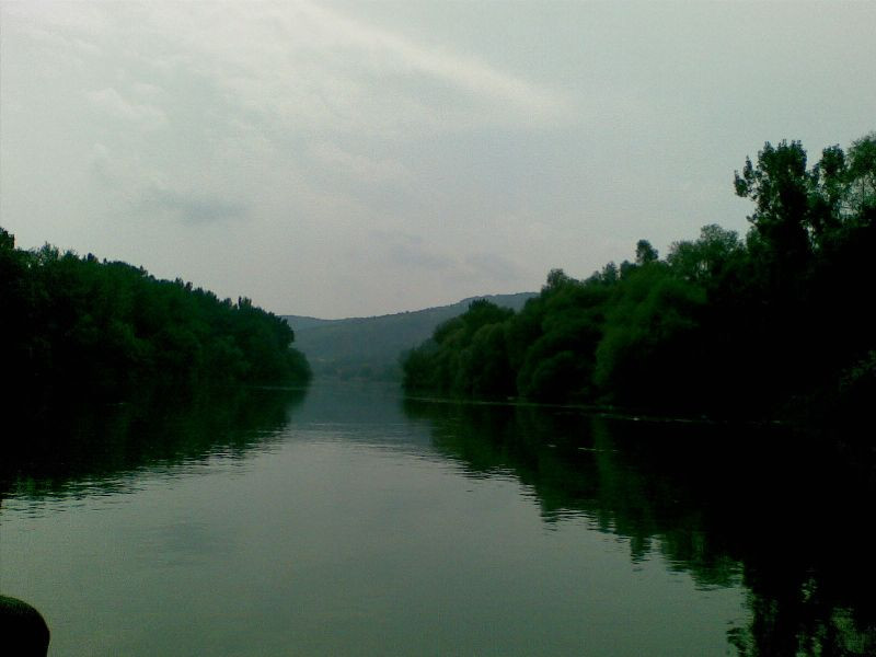 Tisza015