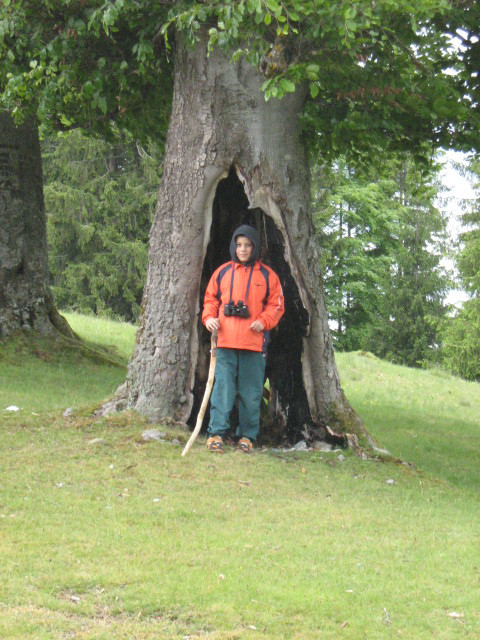 Románia Remeti Jád-völgye 2009.05 014