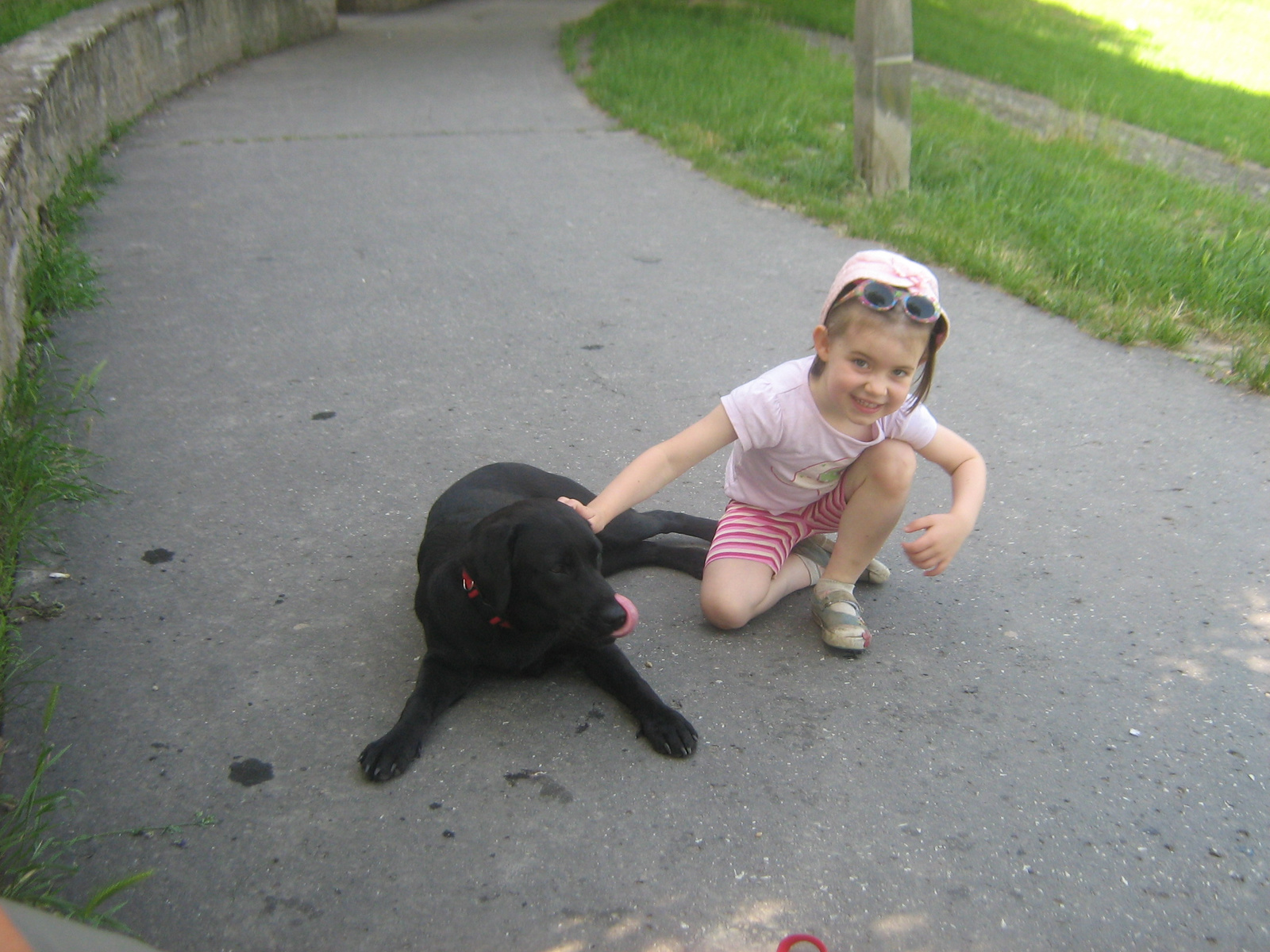 találkozás Zione-al, a labradorral