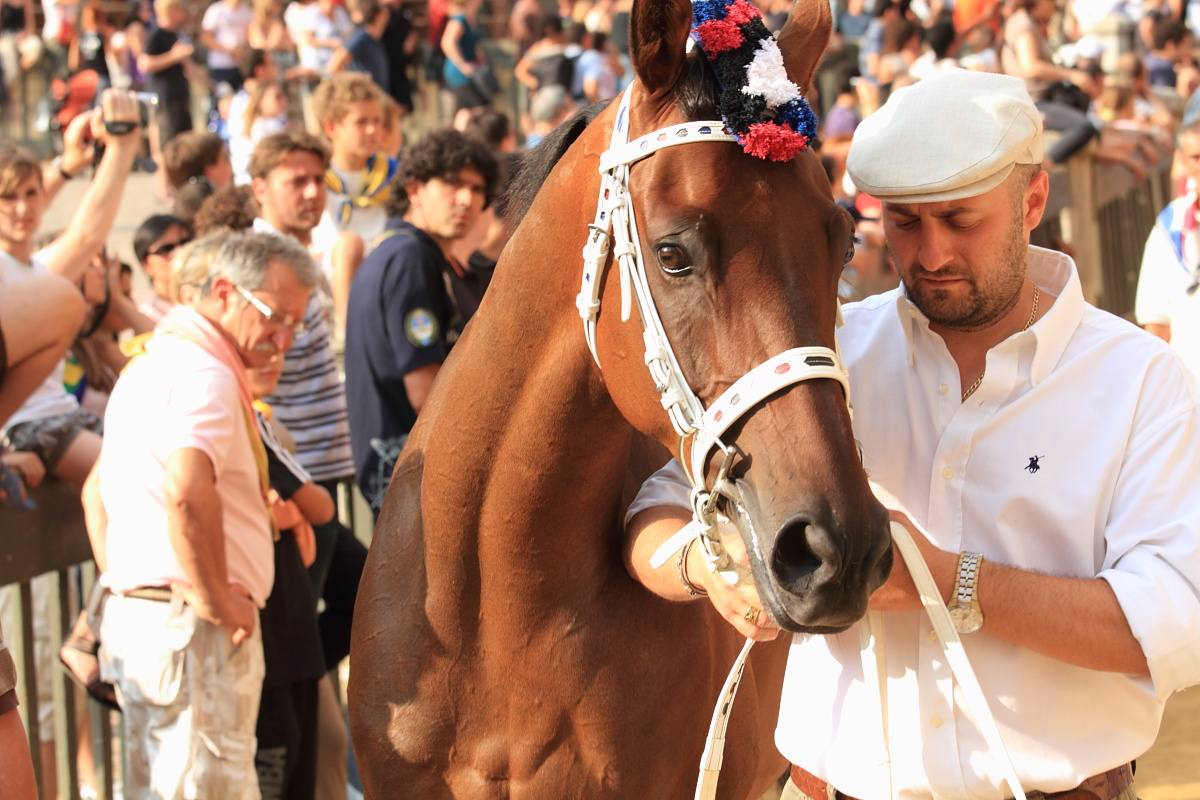 Sienai lóverseny /Palio/